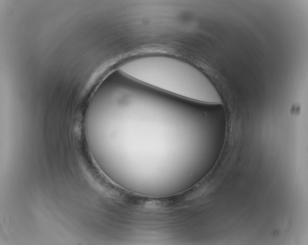 X0000113630064200909181315