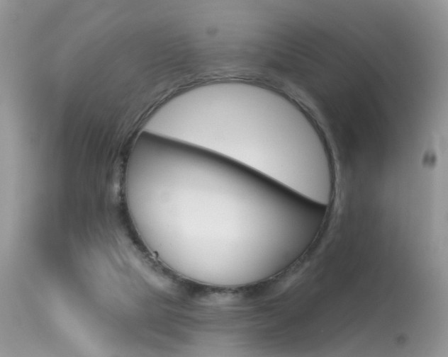 X0000113630065200909181315