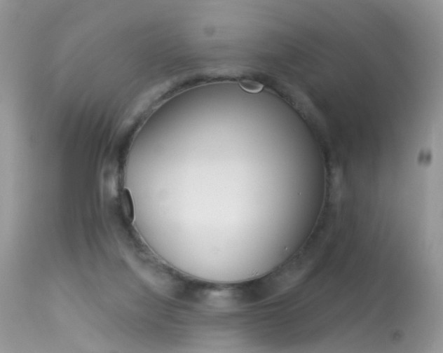 X0000113630068200909181315