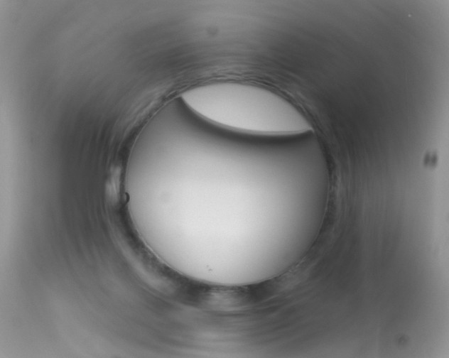 X0000113630070200909181315