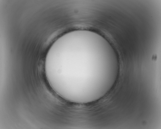 X0000113630071200909181315