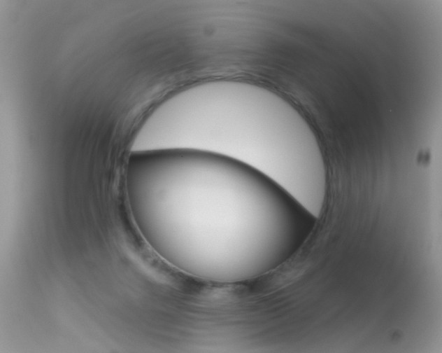 X0000113630072200909181315