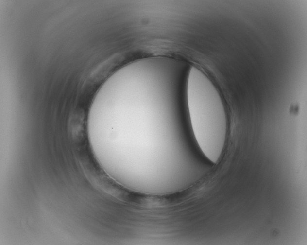 X0000113630073200909181315