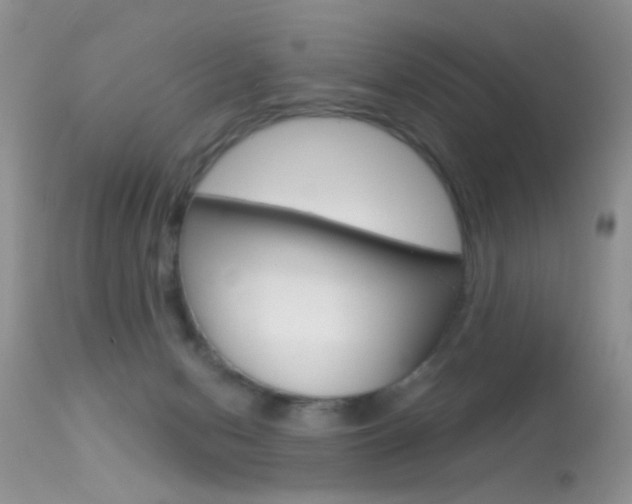 X0000113630078200909181315