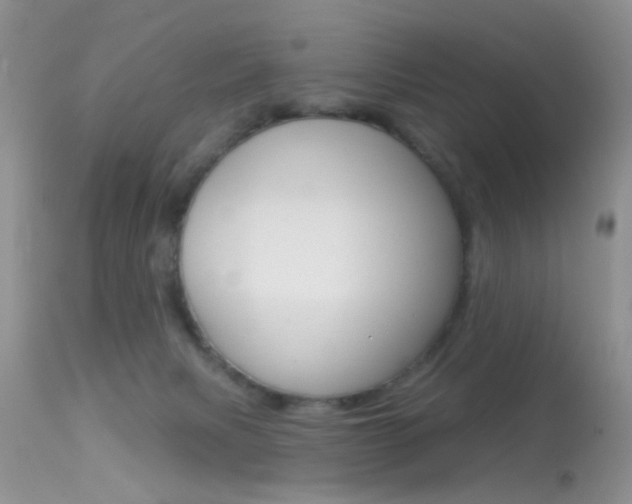 X0000113630079200909181315