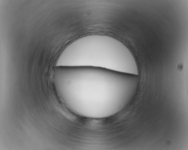 X0000113630081200909181315
