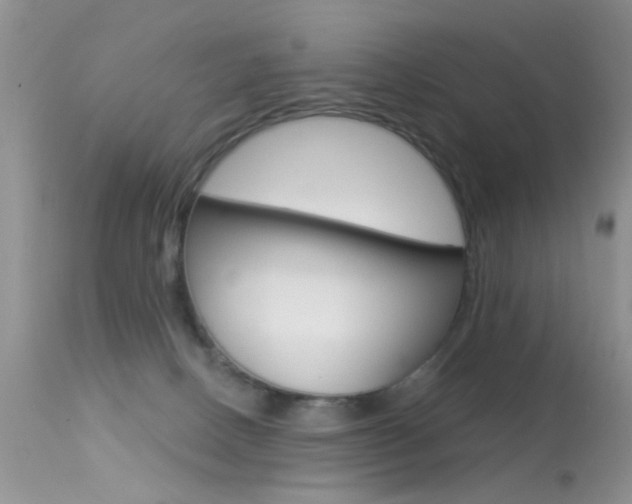 X0000113630082200909181315