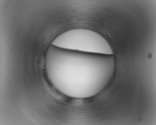 X0000113630083200909181315