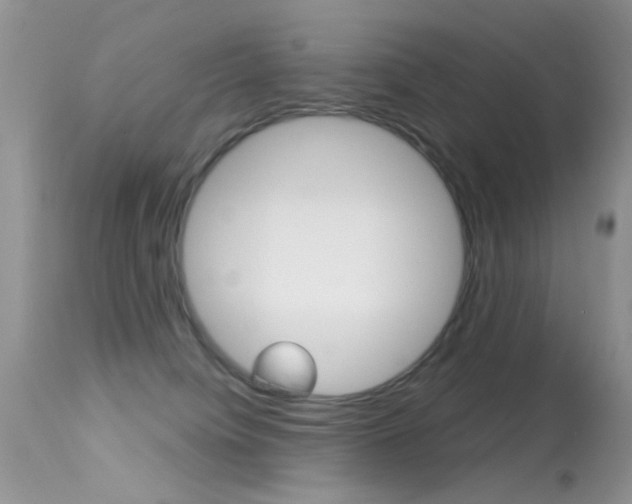 X0000113630084200909181315