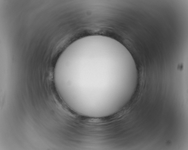 X0000113630085200909181315