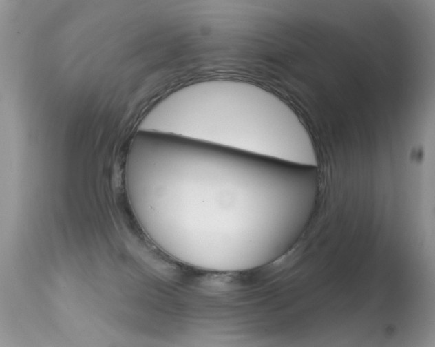 X0000113630086200909181315