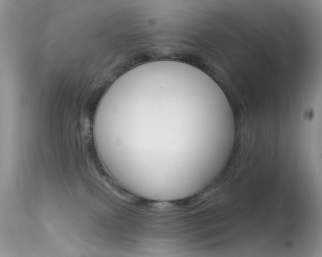 X0000113630087200909181315