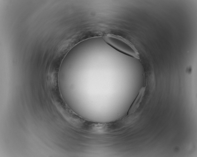 X0000113630088200909181315
