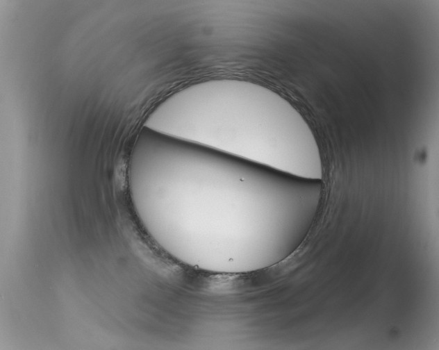 X0000113630090200909181315