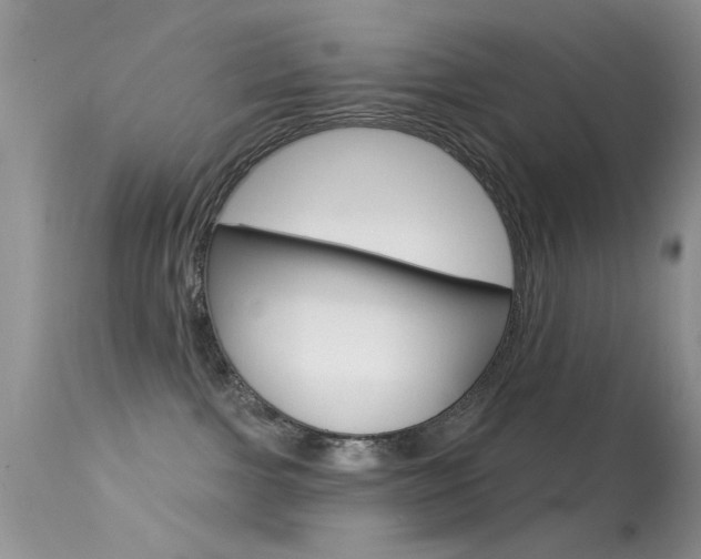 X0000113630091200909181315