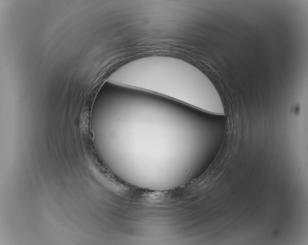 X0000113630092200909181315