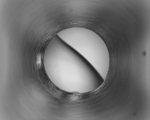 X0000113630094200909181315