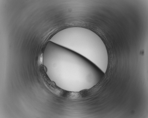X0000113630095200909181315