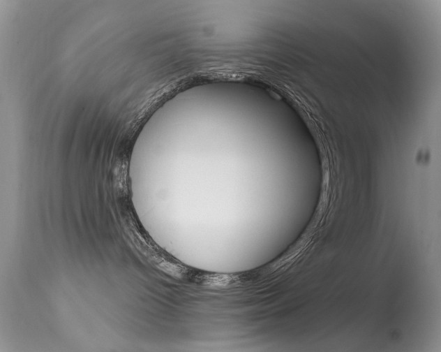 X0000113630096200909181315