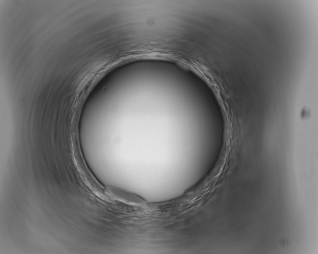 X0000113630097200909181314
