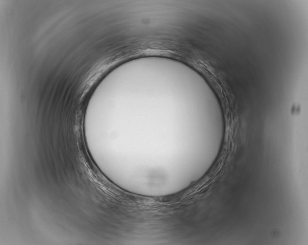 X0000113630098200909181314
