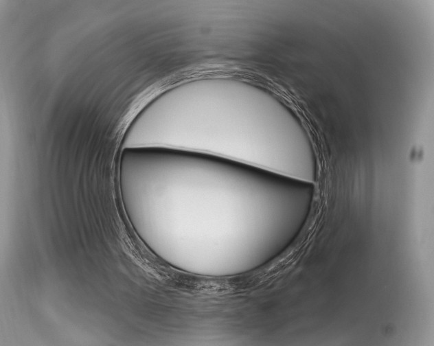 X0000113630099200909181314
