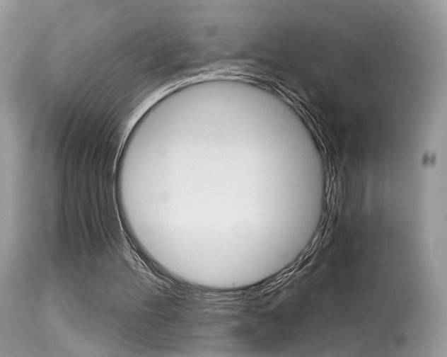 X0000113630100200909181314