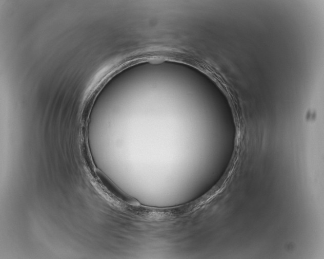 X0000113630101200909181314