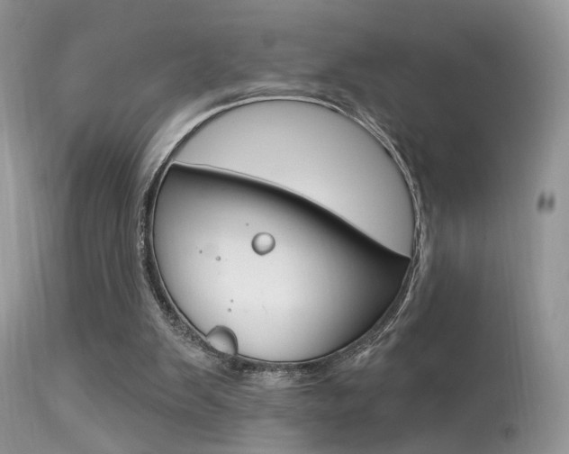 X0000113630103200909181314