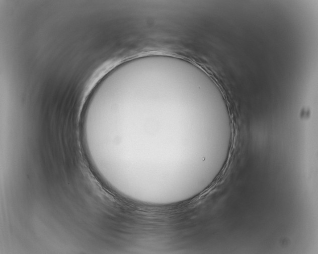 X0000113630104200909181314