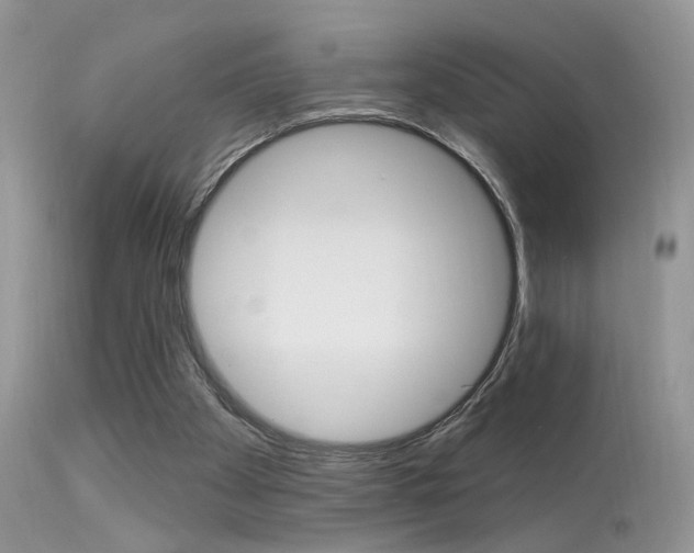 X0000113630105200909181314