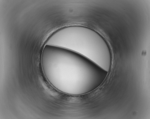 X0000113630107200909181314