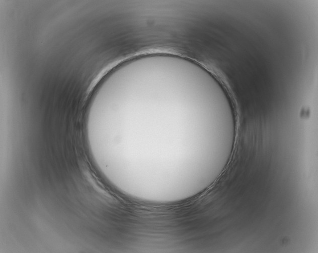X0000113630108200909181314