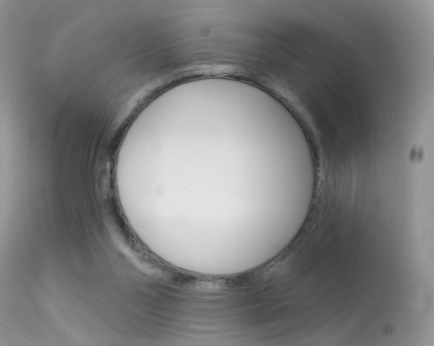 X0000113630110200909181314