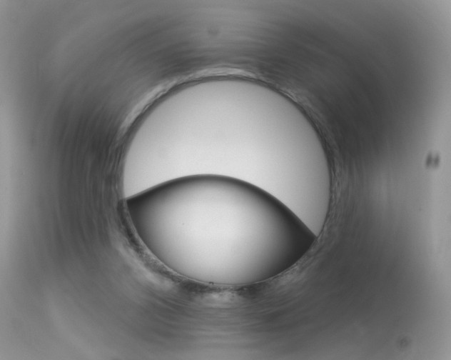 X0000113630112200909181314