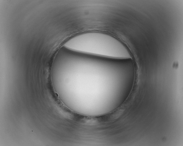 X0000113630113200909181314