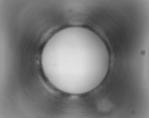 X0000113630114200909181314