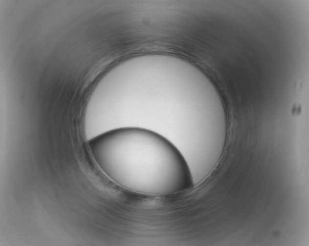 X0000113630116200909181314