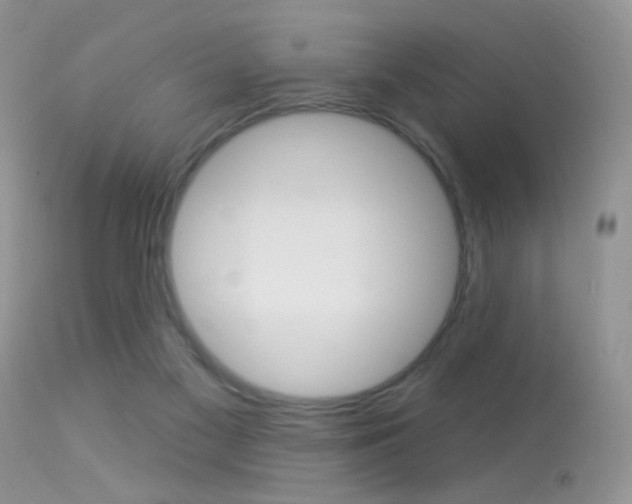X0000113630117200909181314