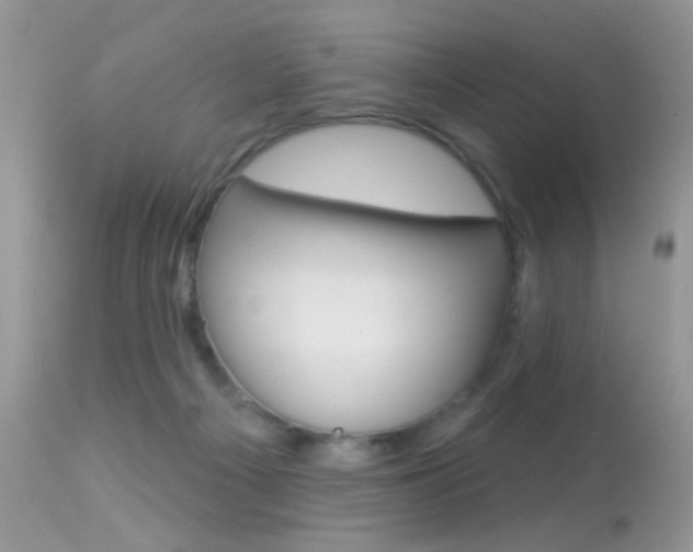 X0000113630121200909181314