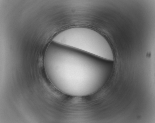 X0000113630123200909181314