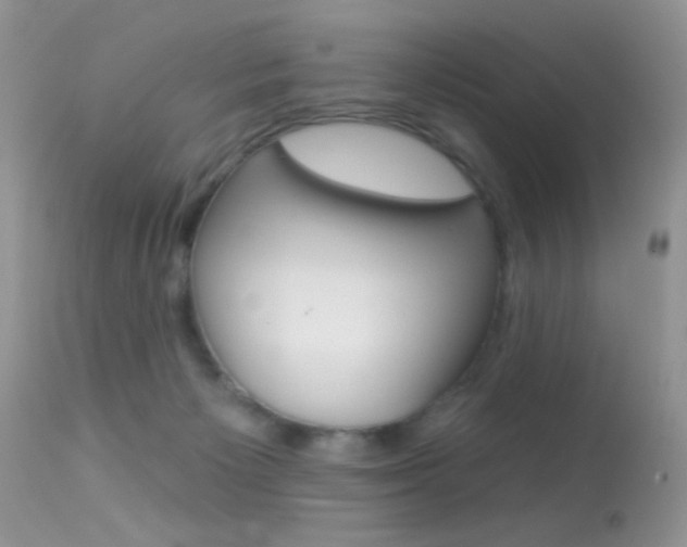 X0000113630125200909181314