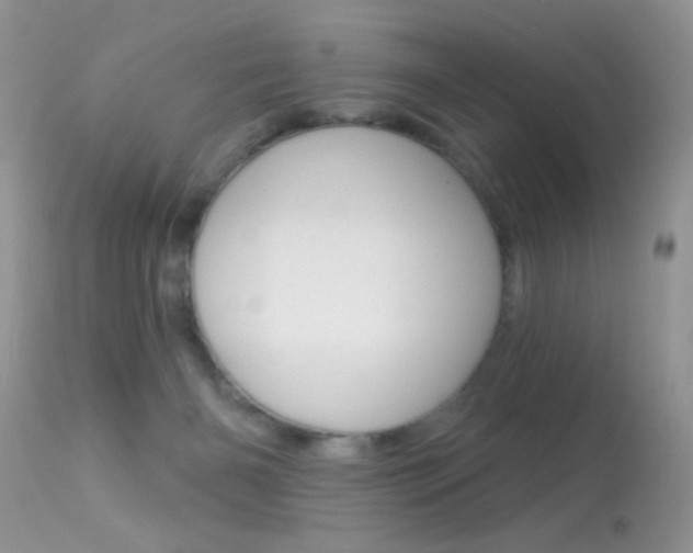 X0000113630126200909181314