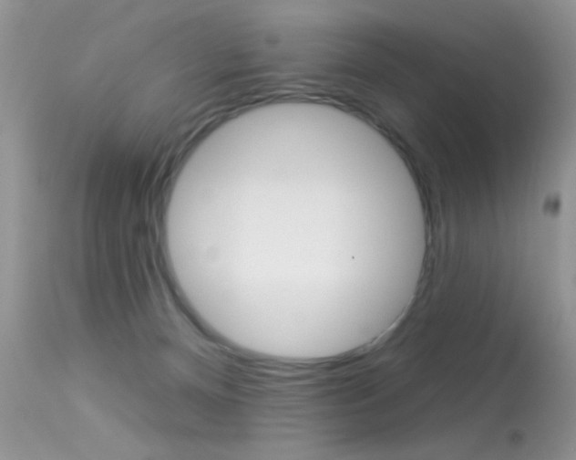 X0000113630128200909181314