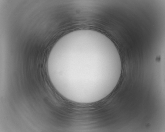 X0000113630129200909181314