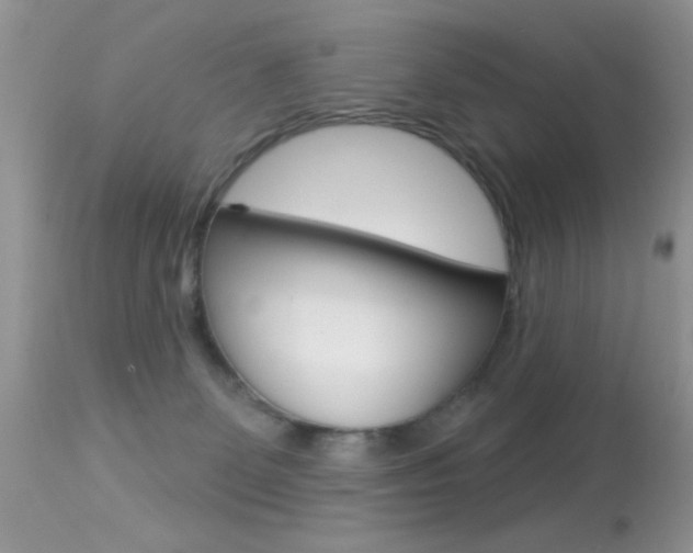 X0000113630131200909181314