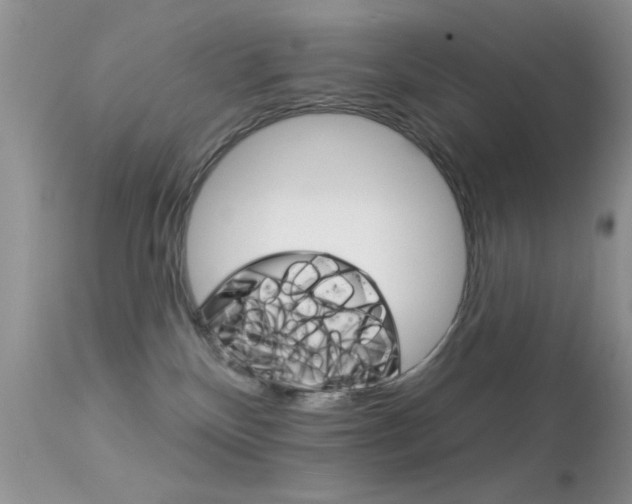 X0000113630136200909181314