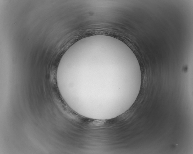 X0000113630138200909181314