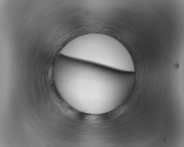 X0000113630139200909181314