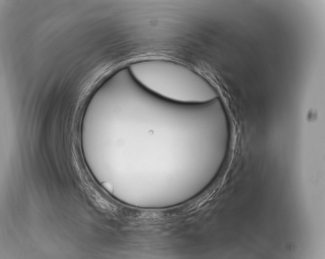 X0000113630145200909181313